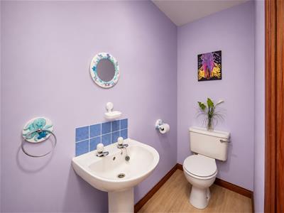 Picture 13